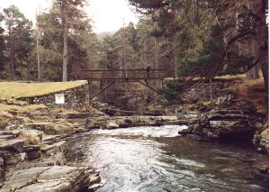 Linn of Quoich