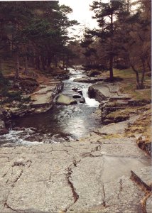 Glen Quoich